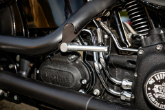 harley-crossbones-trike-motorrad-tellenbrock-oelde-1-15