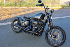 Pixelsaint-Fotografie-Springer-Softail-2026-1-11