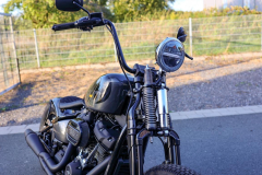 Pixelsaint-Fotografie-Springer-Softail-2026-1-12