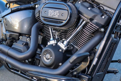 Pixelsaint-Fotografie-Springer-Softail-2026-1-14