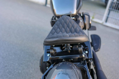 Pixelsaint-Fotografie-Springer-Softail-2026-1-15