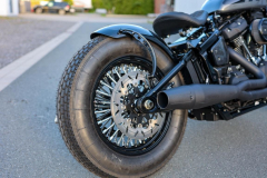 Pixelsaint-Fotografie-Springer-Softail-2026-1-18