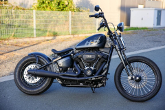 Pixelsaint-Fotografie-Springer-Softail-2026-1-19