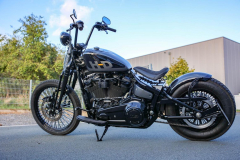 Pixelsaint-Fotografie-Springer-Softail-2026-1-2