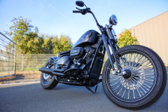 Pixelsaint-Fotografie-Springer-Softail-2026-1-20
