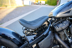 Pixelsaint-Fotografie-Springer-Softail-2026-1-21