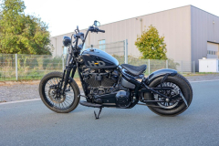 Pixelsaint-Fotografie-Springer-Softail-2026-1-6