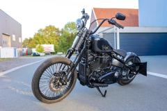 Pixelsaint-Fotografie-Springer-Softail-2026-1-7
