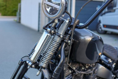 Pixelsaint-Fotografie-Springer-Softail-2026-1-8